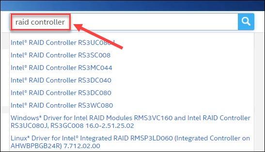 Muat Turun & Kemas Kini Pemacu Intel RAID – Windows 11, 10, 8, 7