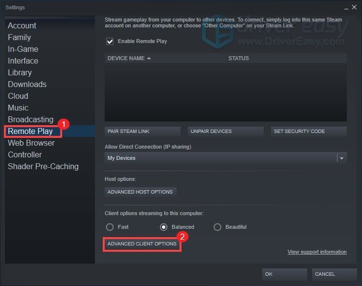 disabilita la codifica hardware Steam Steam Remote Play non funziona