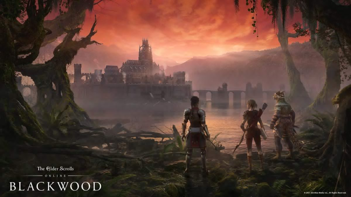 [RIEŠENÉ] The Elder Scrolls Online: Lagwood Blackgging